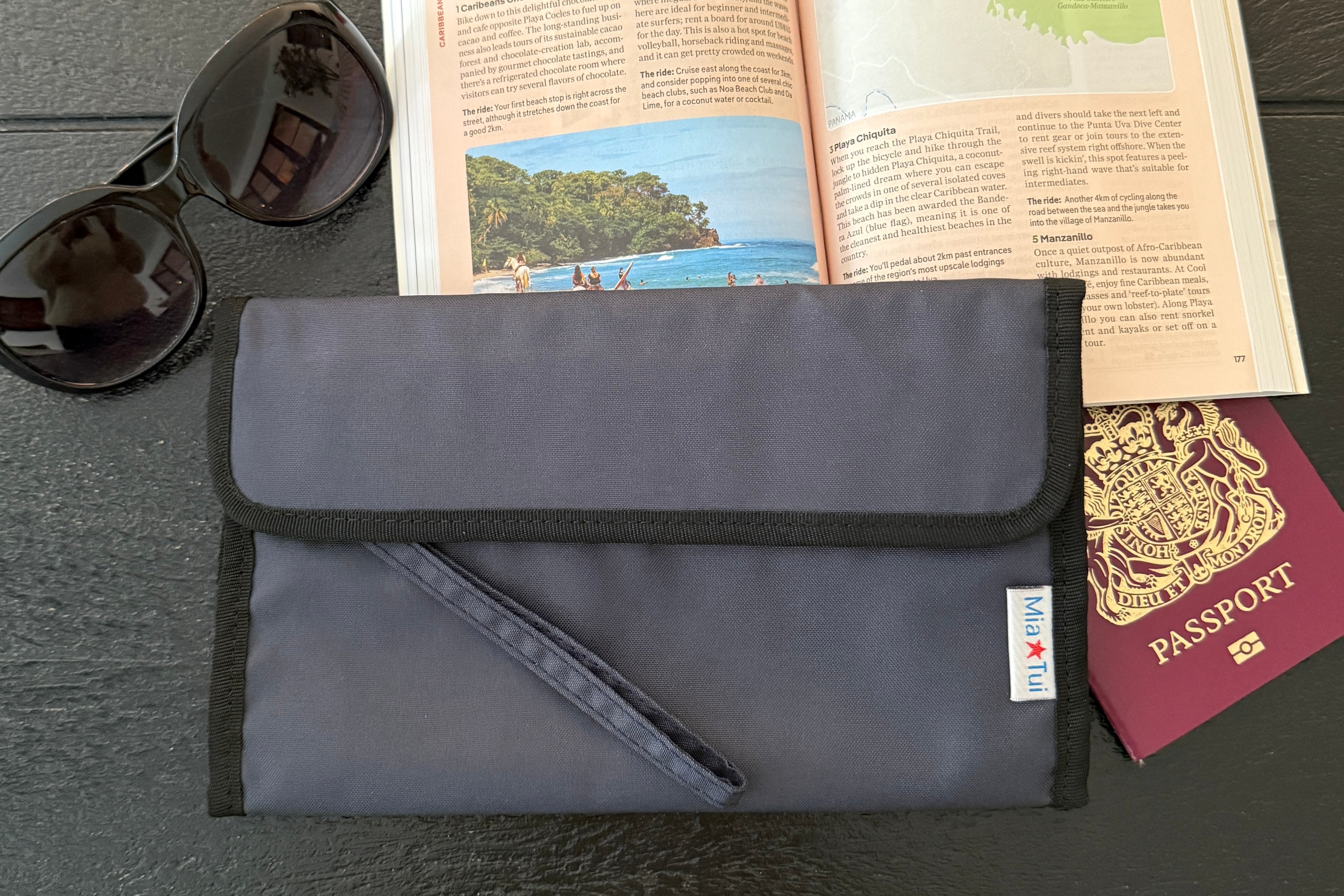 FREE RFID Travel Wallet (RRP £21)