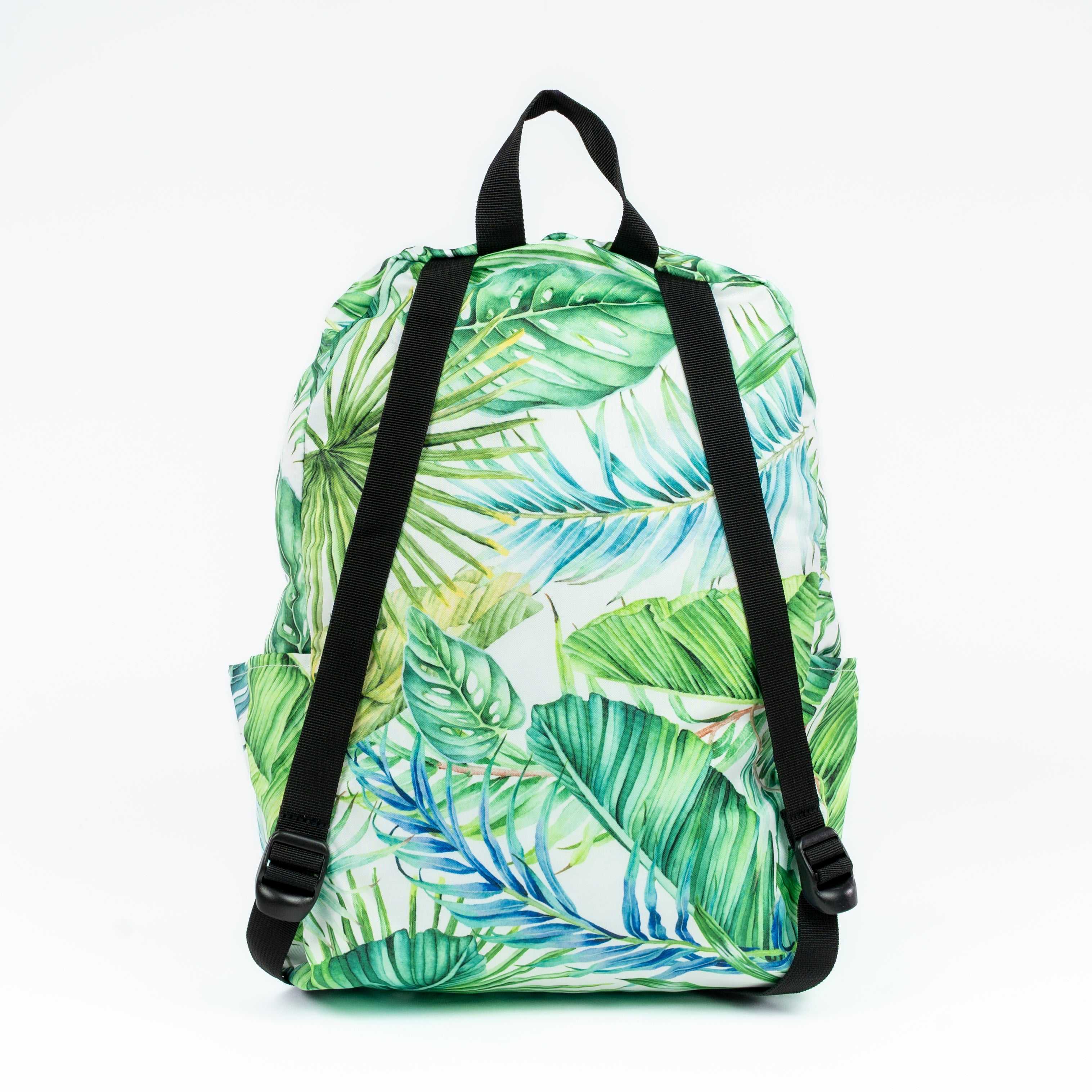 Palm Leaf