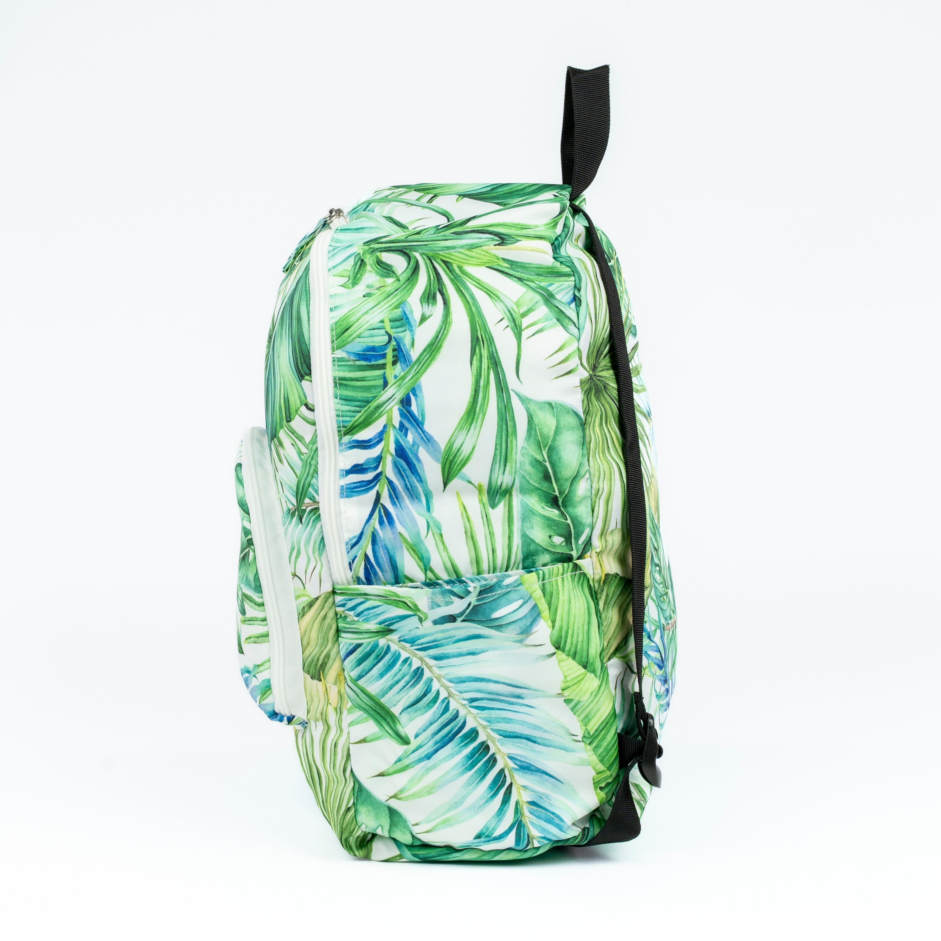 Palm Leaf