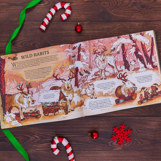 Mia Tui Gifts Secrets from the North Pole Book